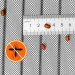 INSECTPROTECT
