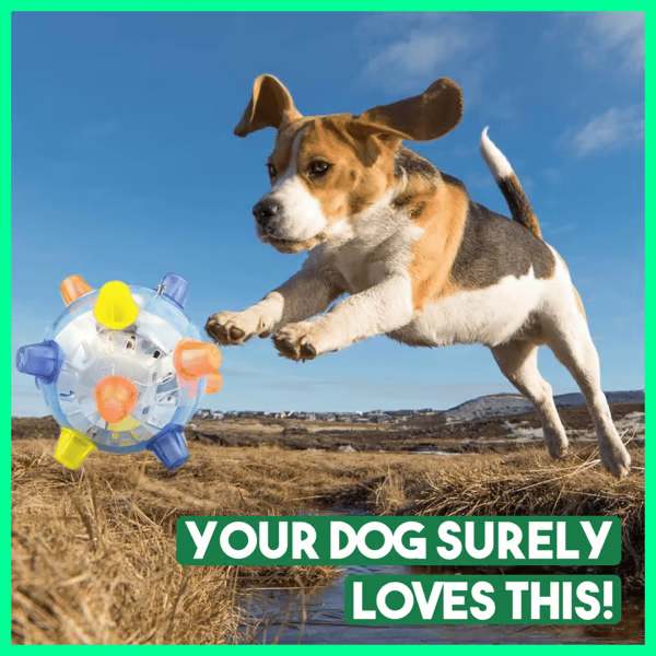 Interaktiver Springball für Hunde - Automatisches Hüpfen, Licht & Ton | ACTIBALL