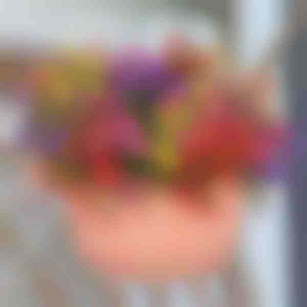 Immerblühendes Grün (6 Stk./Set) | ARTIFLOWERS